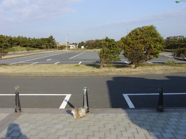 郖@摜@O@OYC