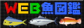 郖@O@C@摜@OYC